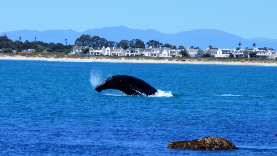 3 Bedroom Property for Sale in St Helena Views Western Cape